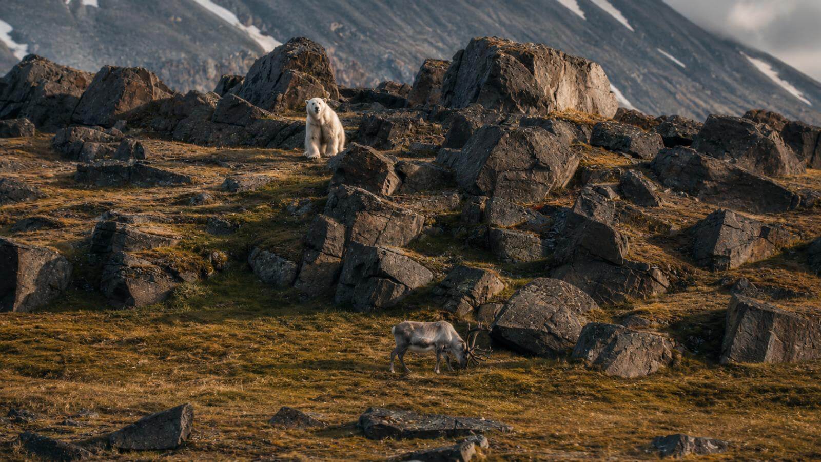 Nova Yachts expedition in Svalbard