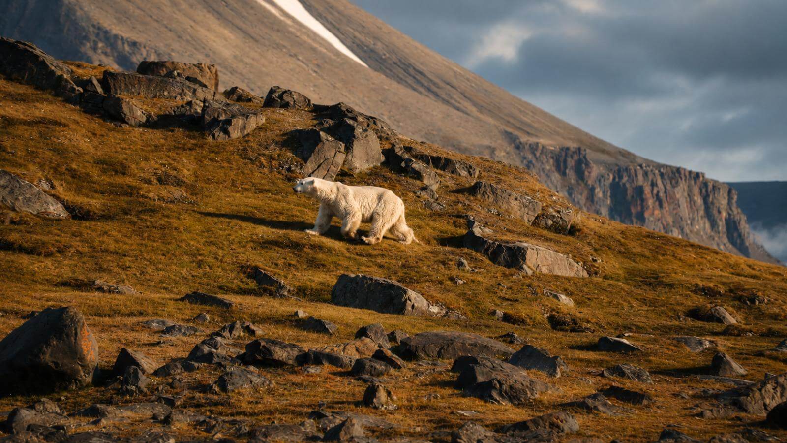 Nova Yachts expedition in Svalbard
